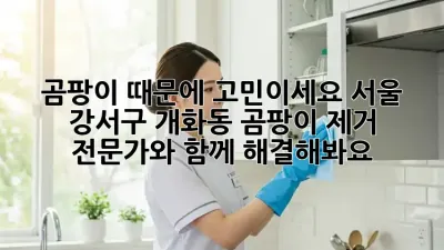 곰팡이 때문에 고민이세요? 서울 강서구 개화동 곰팡이 제거 전문가와 함께 해결해봐요!